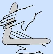 catch of the boomerang